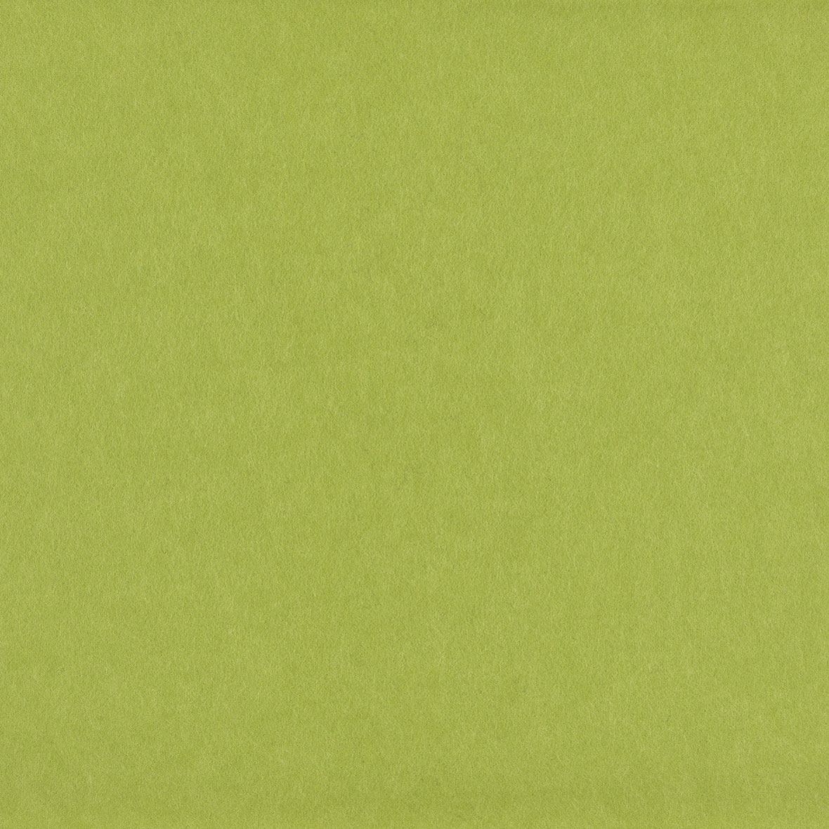 wasabi