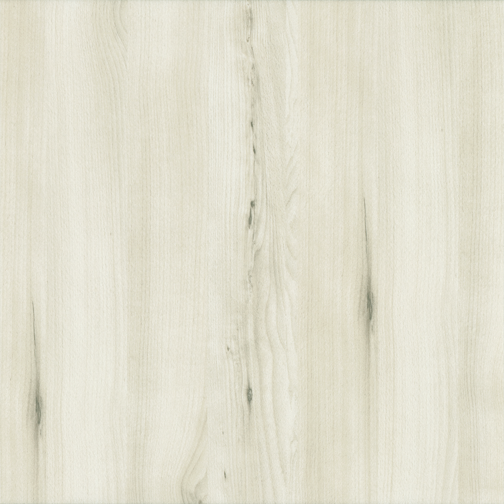 white-elm