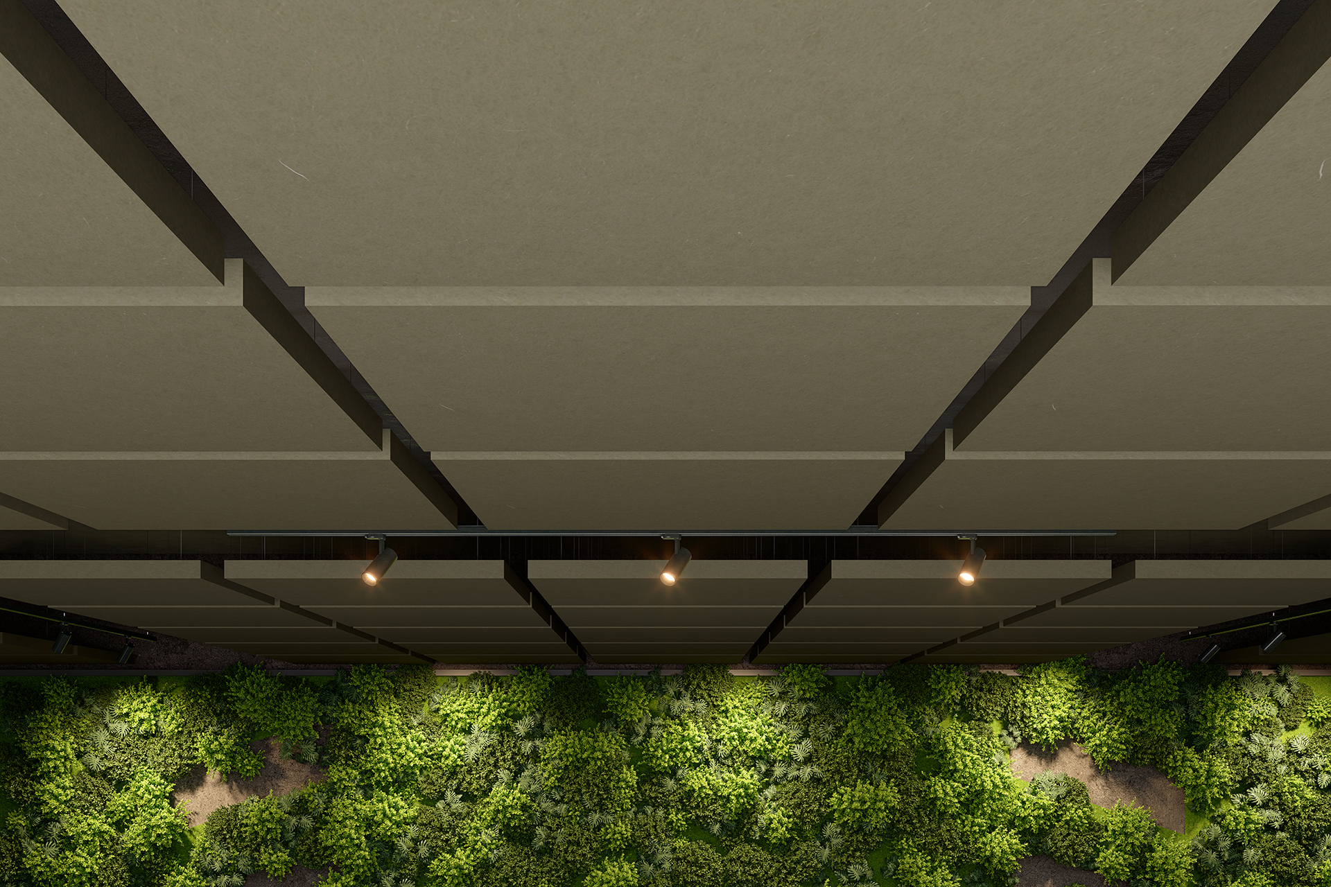 Canopy