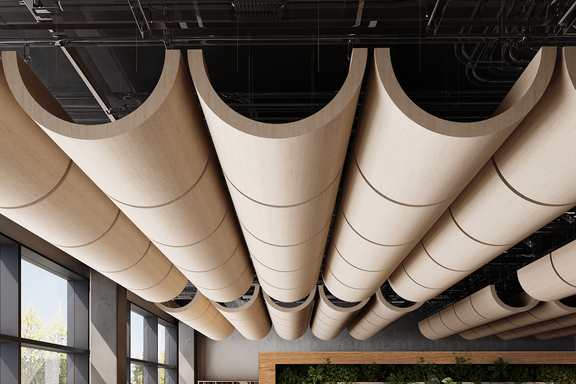 The image shows an interior design featuring a ceiling with large, curved, woodprint acoustic clouds arranged in a row. The space below has floor-to-ceiling windows allowing natural light in, and a green wall filled with plants can be seen in the background.