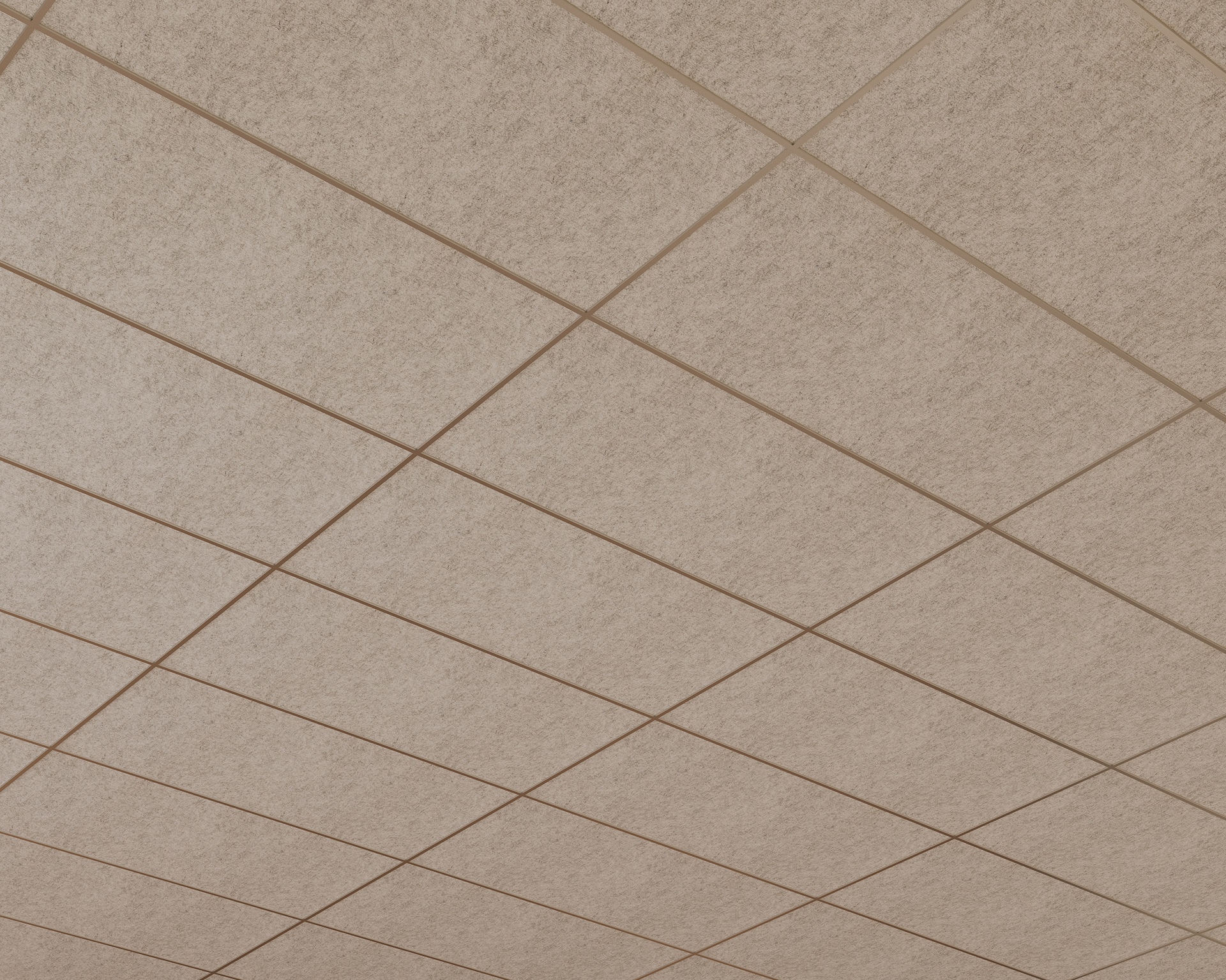 The ceiling features beige acoustic felt tiles arranged in a grid pattern. Their textured surface and even spacing create a structured and uniform appearance.