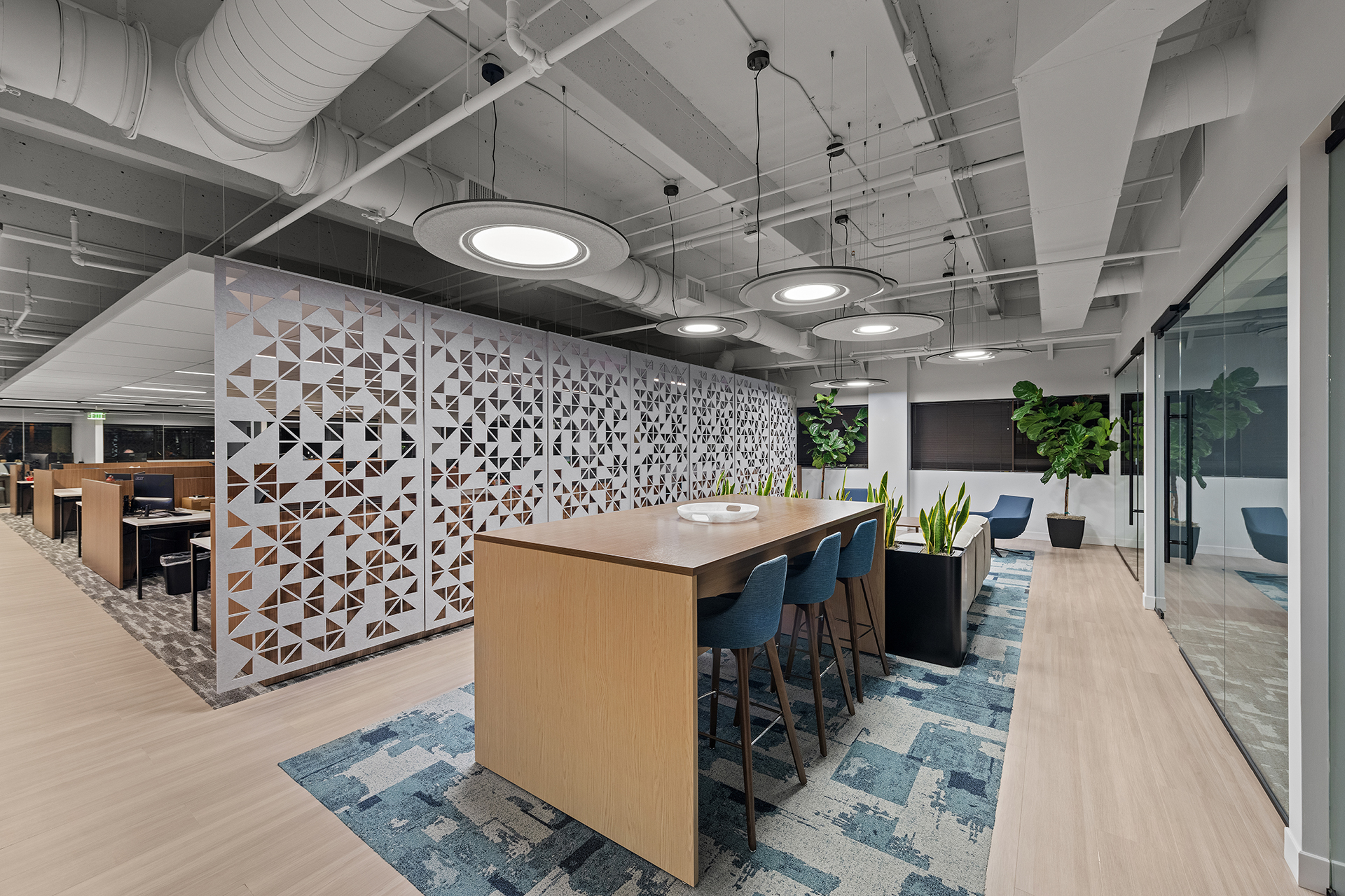 Modern office space with a long wooden table, blue chairs, decorative patterned acoustic felt screen, potted plants, carpeted and wood flooring, overhead circular lights, and open workstations in the background.