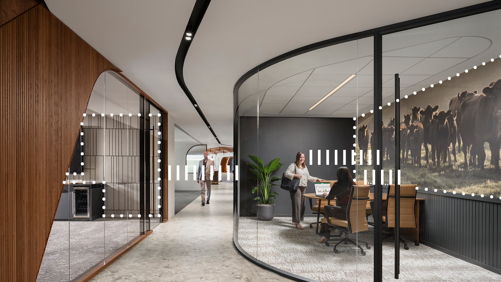 A modern office with curved glass meeting rooms; two women talk at a desk inside one, with a large acoustic felt mural of cows on the wall. A person walks down the hallway lined with wood and glass panels.