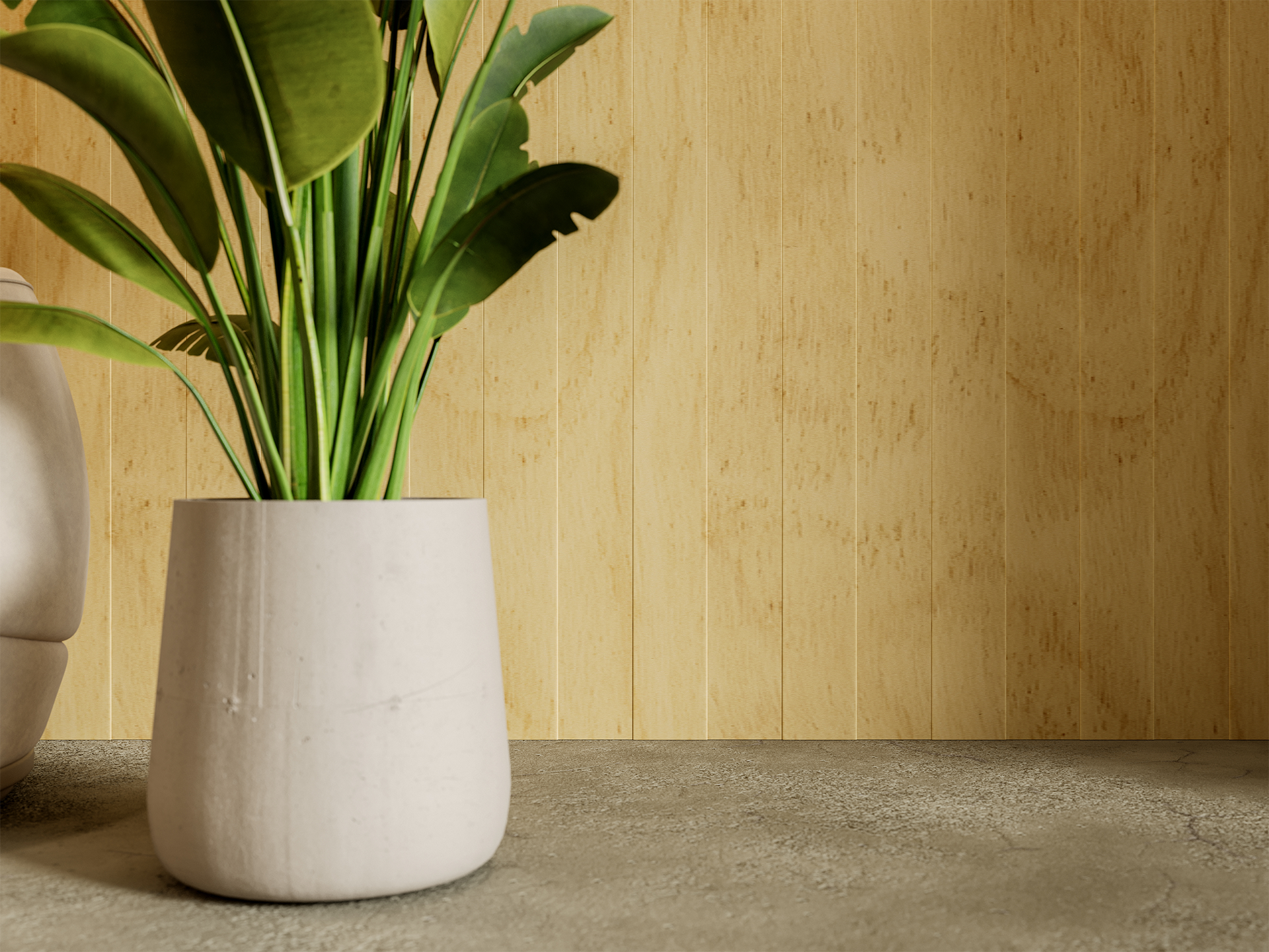 A potted plant with green leaves sits on a concrete surface against a light acoustic felt wooden panel wall. The planter is smooth and light-colored, and the background is minimal and uncluttered.
